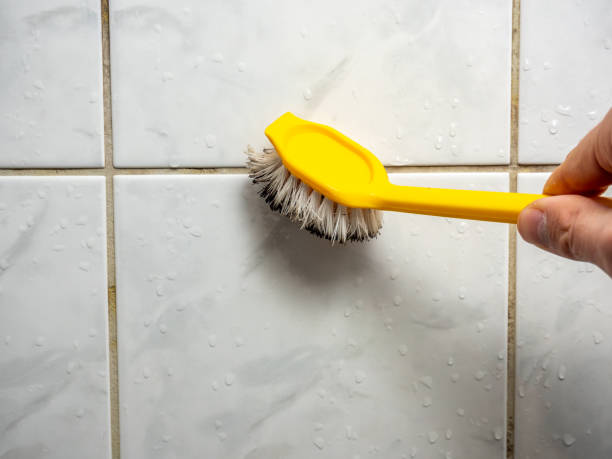 Best Home Mold Removal  in Lehighton, PA