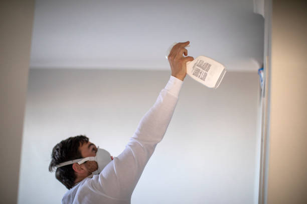 Best Commercial Mold Removal  in Lehighton, PA