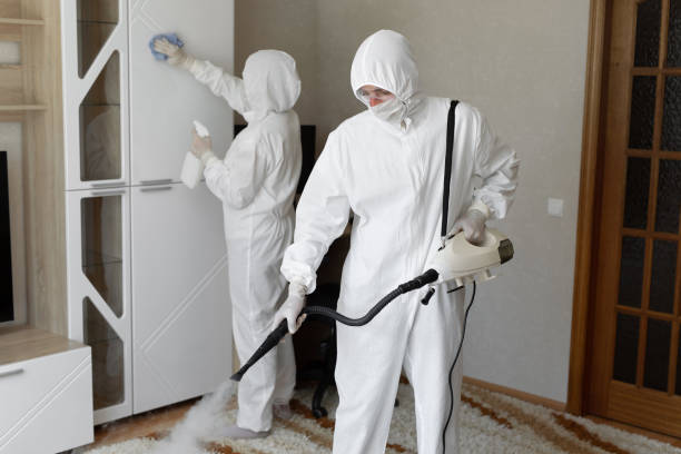 Professional Mold Removal in Lehighton, PA