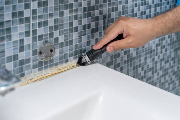 Best Black Mold Removal  in Lehighton, PA